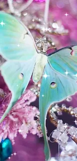 Mint green butterfly in fantasy background with pastel hues.