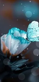 Delicate turquoise butterfly resting on a bloom with a soft focus background.