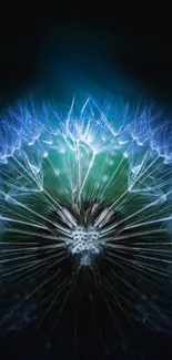 Glowing blue dandelion on a dark background mobile wallpaper