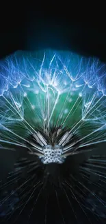 Ethereal glowing dandelion abstract wallpaper for mobile devices.