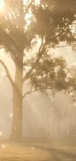 Forest in golden light with ethereal glow and sunbeams.