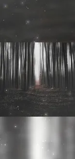 Dark mystical forest wallpaper with light beams.