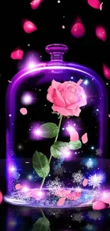 Pink rose under purple glass dome with glowing petals.