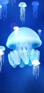 Ethereal jellyfish floating in a deep blue sea, exuding tranquility.