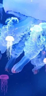 Ethereal jellyfish with electric hues float serenely in a deep blue ocean.