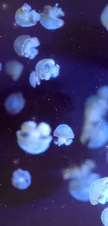 Floating jellyfish in serene blue light creating a mystical mobile wallpaper.