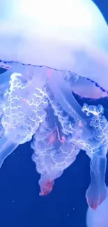 A glowing jellyfish in blue and white hues against a dark background.