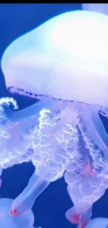 Glowing jellyfish in serene blue hues.