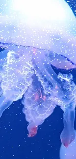 Glowing blue jellyfish with an ethereal underwater ambiance.