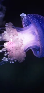 Ethereal jellyfish with purple glow against dark sea background.