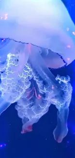 Glowing jellyfish in vibrant blue hues against a dark oceanic background.