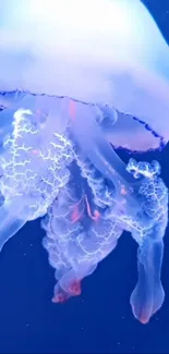 Ethereal jellyfish with glowing tentacles in deep blue ocean view.