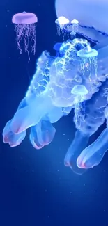 Ethereal glowing jellyfish in deep blue ocean wallpaper.