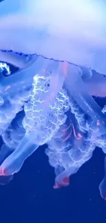 Bioluminescent jellyfish glows against a deep blue underwater background.