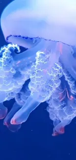 Ethereal glowing jellyfish in deep blue ocean scene.