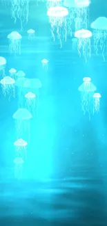 Ethereal jellyfish floating in tranquil aqua ocean wallpaper.