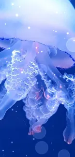 Ethereal blue jellyfish glowing in a captivating underwater scene.