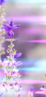 Ethereal lavender blooms with pastel gradients in background.