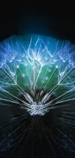 Ethereal macro dandelion glowing with vivid blue and green light.