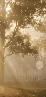 Ethereal misty forest with warm light filtering through trees.