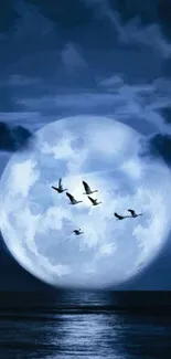 Moonlit night with flying birds over a calm ocean.