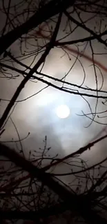 Ethereal night sky with moon and branches.