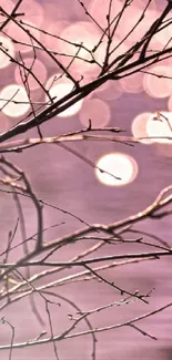 Pink bokeh mobile wallpaper with tree branches.