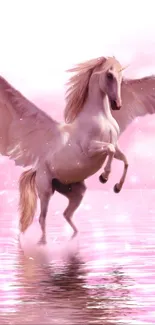 Ethereal pegasus on pink reflective water under a serene sky.