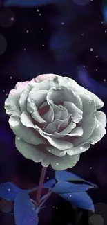 Ethereal white rose on a dark blue background with moody tones.