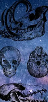 Intricate skull illustrations on a starry night background for mobile wallpaper.