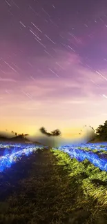 Twilight landscape with starry sky and blue-lit fields.