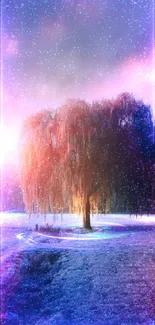 Ethereal fantasy wallpaper with a willow tree and colorful lights.