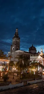 Evening cityscape with illuminated cathedral and palm trees.