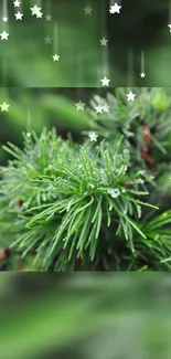 Close-up of evergreen pine branches with starry overlay in green theme.