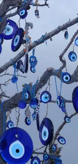 Blue evil eye ornaments on a tree branch.