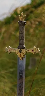 Ornate Excalibur sword standing in lush, green landscape.