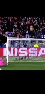 Football goal scene with cheering fans and a goalkeeper in action.