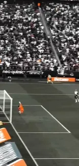 Soccer stadium with a crowded stand and players near the goal.