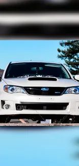 White Subaru WRX parked under a blue sky with trees in the background.