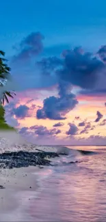 Tropical beach scene with sunset sky and palm trees silhouetted.