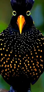 Vibrant exotic bird with colorful plumage against lush background.