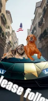 Dogs on a luxury car in city street scene.