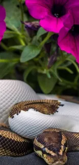 Snake wrapped around with purple flowers in a nature setting.