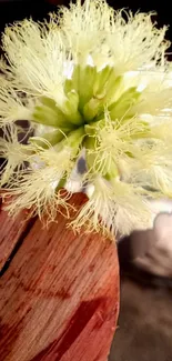 Close-up of exotic tropical flower with brown petals and vibrant green center.