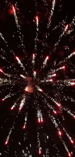 Vibrant fireworks bursting in night sky display.