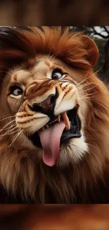 Expressive lion with brown mane and playful tongue out in artistic portrait.