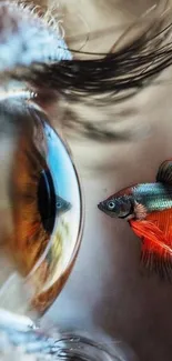 Close-up of eye reflecting a colorful fish, capturing a unique art perspective.