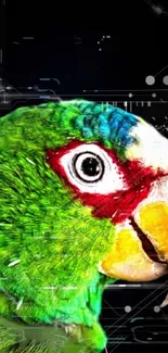 Eye Beak Parrot Live Wallpaper