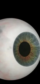 Realistic close-up of an eyeball with intricate detail and dark background.