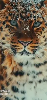 Eye Felidae Carnivore Live Wallpaper